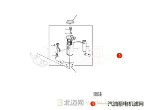 汽车油泵多少种类型